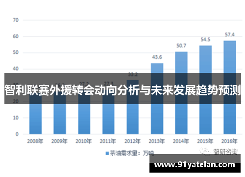 智利联赛外援转会动向分析与未来发展趋势预测